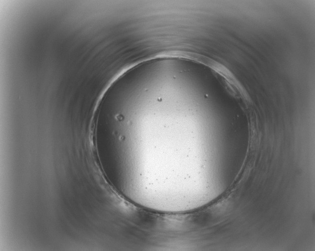 X0000066970908200604072027