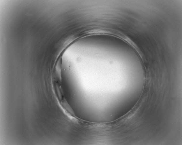 X0000066970909200604072027