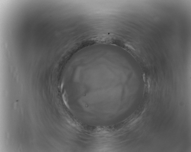 X0000066970913200604072026