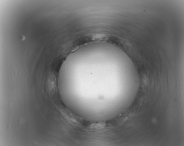 X0000066970914200604072026