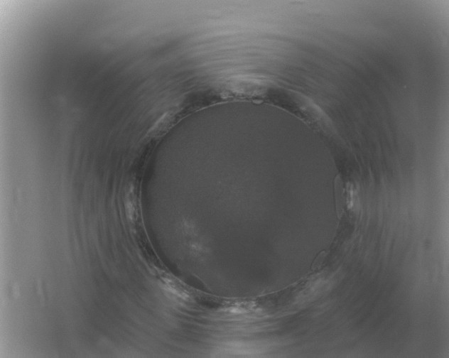 X0000066970915200604072026