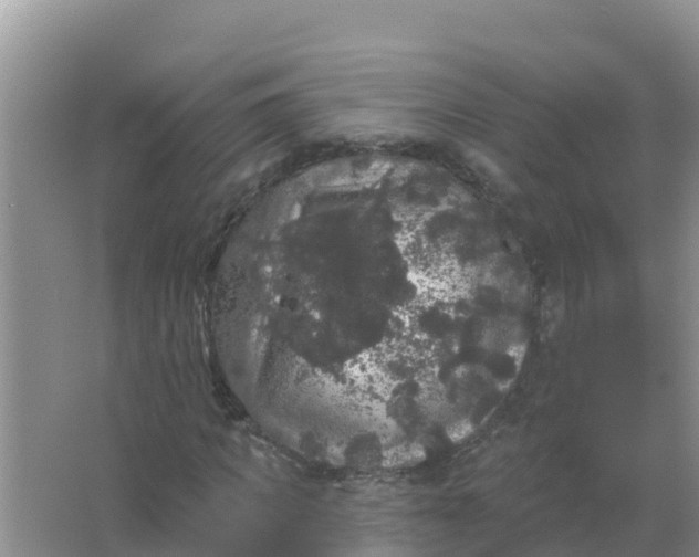 X0000066970917200604072026