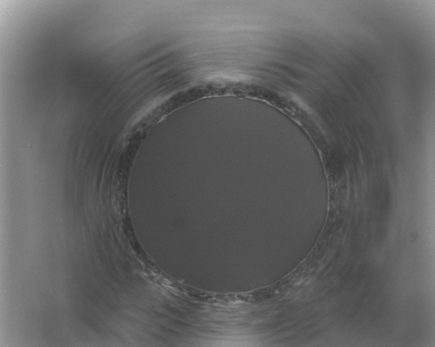 X0000066970919200604072026