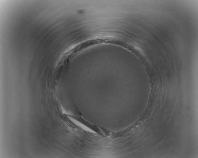 X0000066970920200604072026