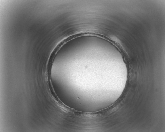 X0000066970924200604072026