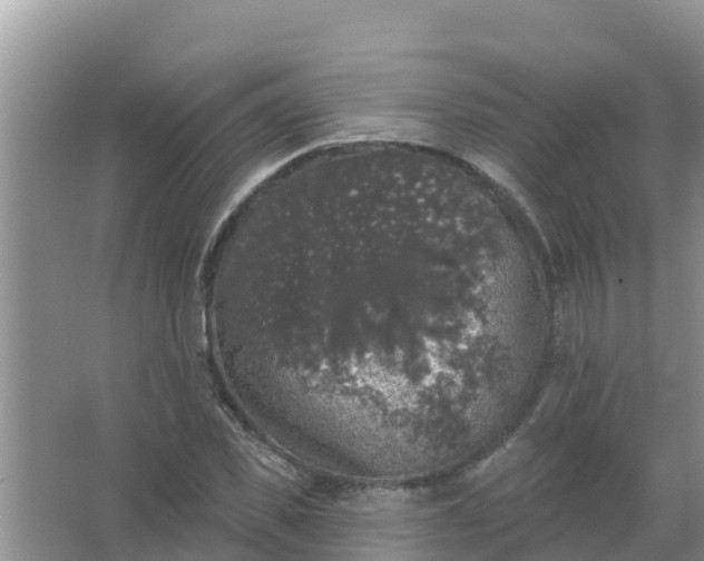 X0000066970925200604072026