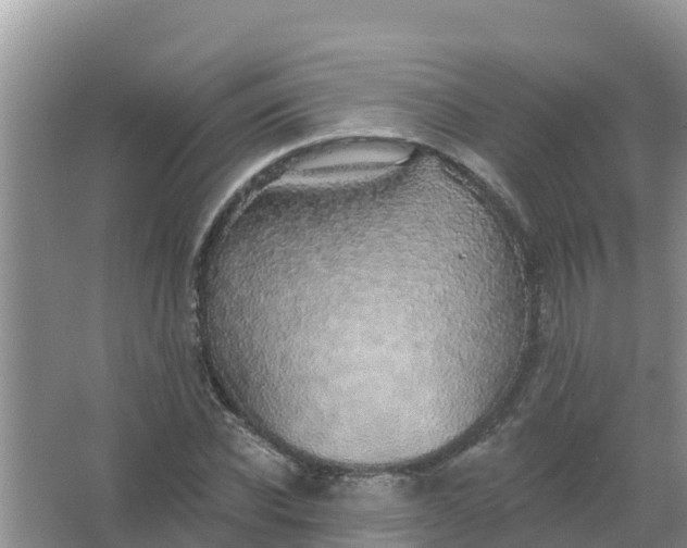 X0000066970926200604072026