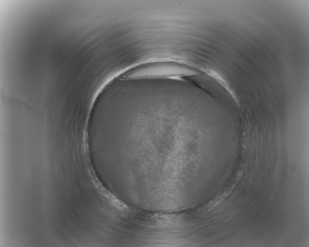 X0000066970928200604072026