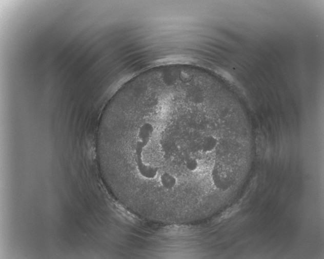 X0000066970929200604072026