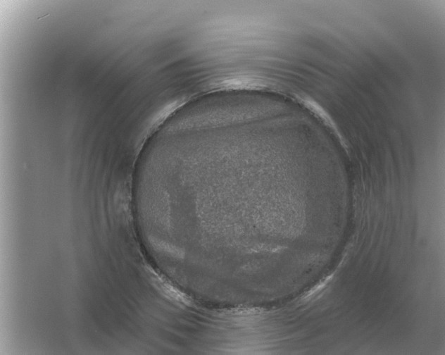 X0000066970930200604072026