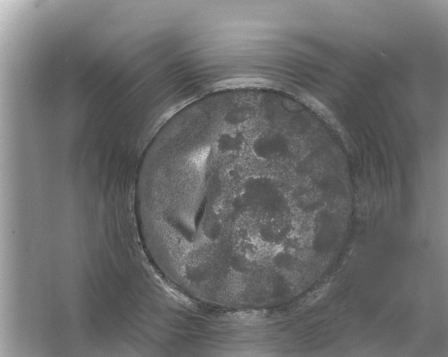 X0000066970937200604072026