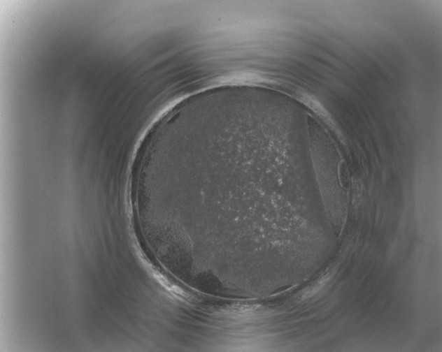 X0000066970939200604072027