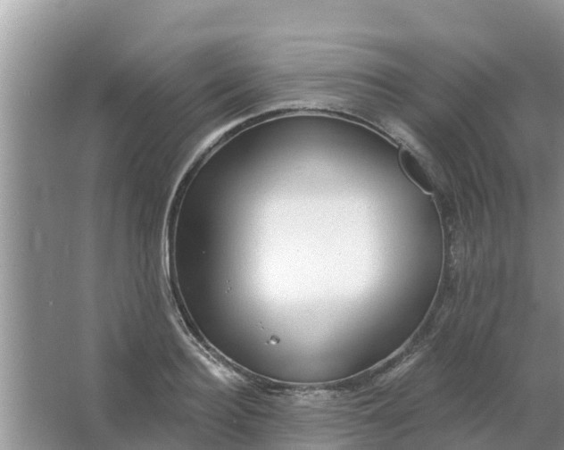 X0000066970940200604072027