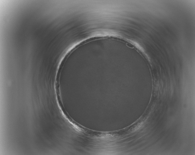 X0000066970943200604072027