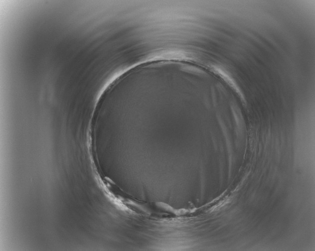 X0000066970944200604072027