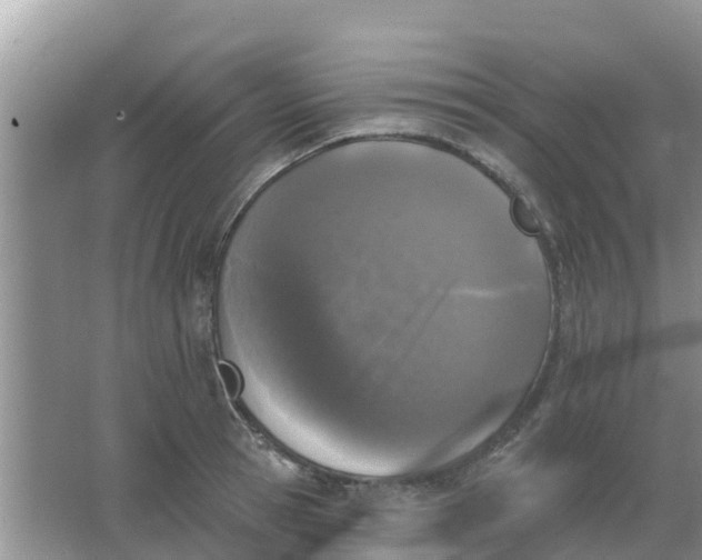 X0000066970945200604072027