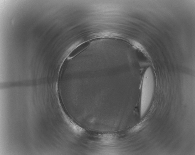 X0000066970946200604072027