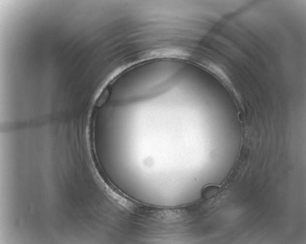 X0000066970947200604072027