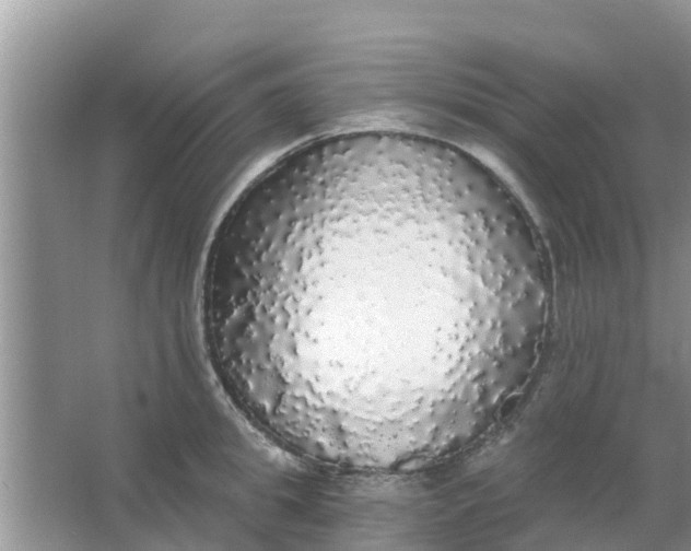 X0000066970949200604072027