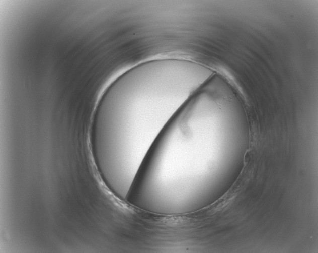 X0000066970952200604072027