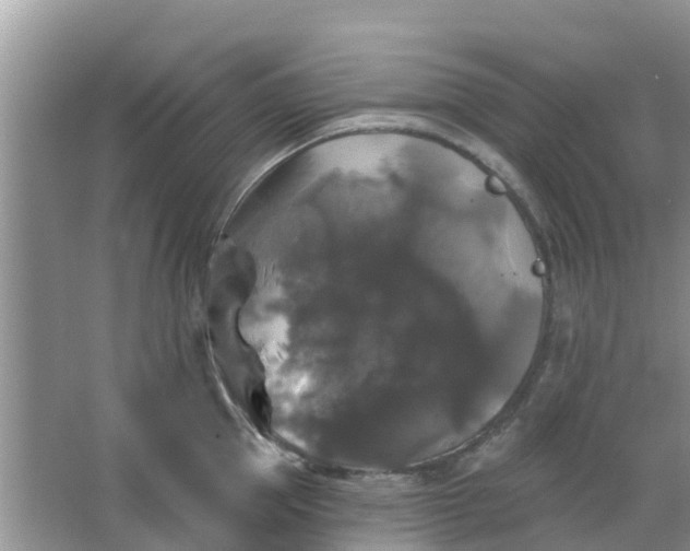 X0000066970953200604072027