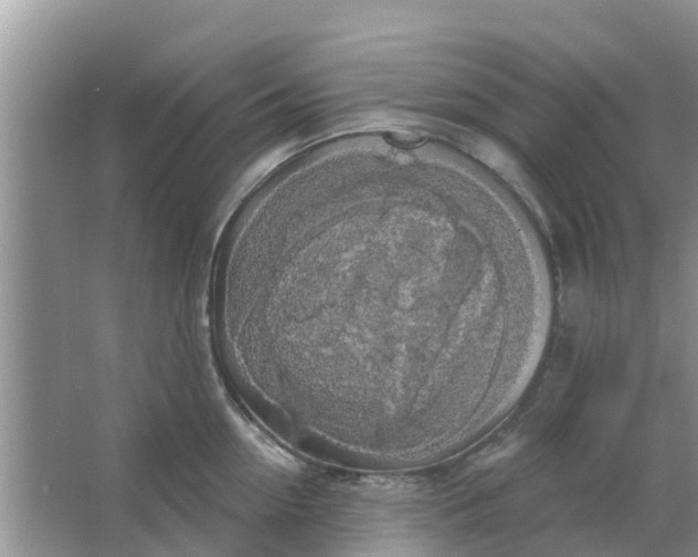 X0000066970954200604072027