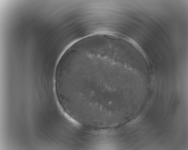 X0000066970955200604072027