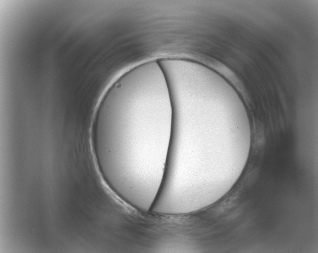 X0000066970958200604072027