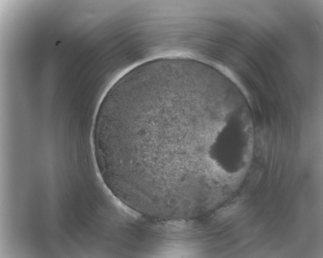 X0000066970959200604072027