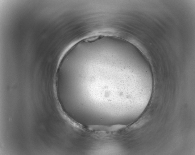 X0000066970960200604072027