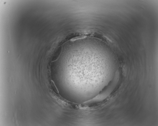 X0000066970961200604072026