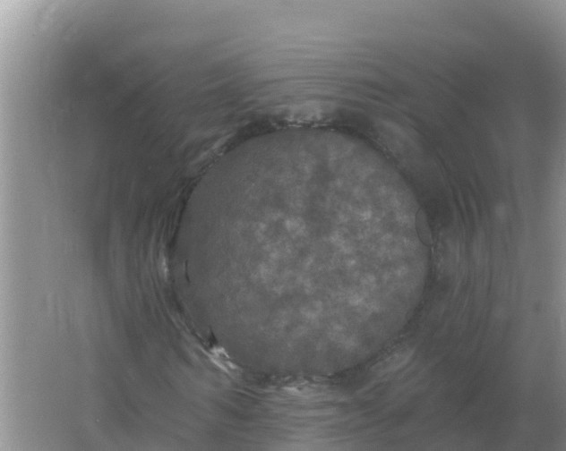 X0000066970962200604072026