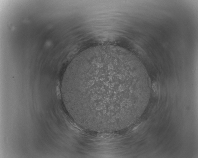 X0000066970963200604072026