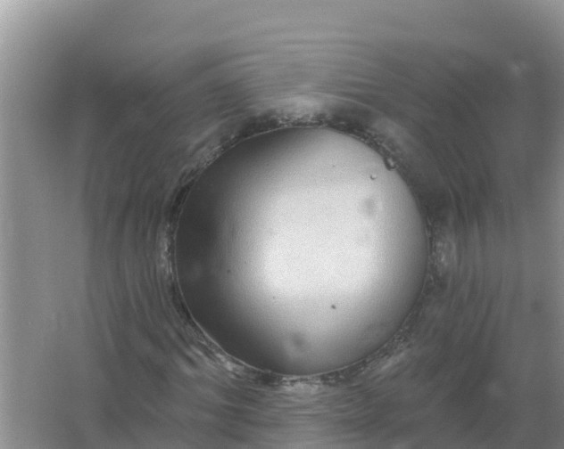 X0000066970964200604072026