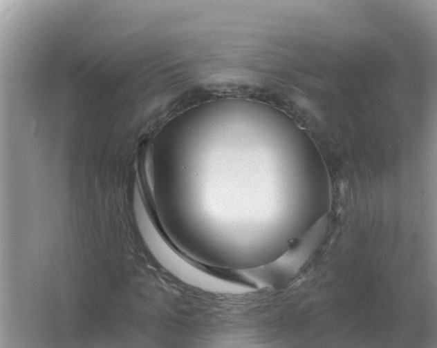 X0000066970965200604072026