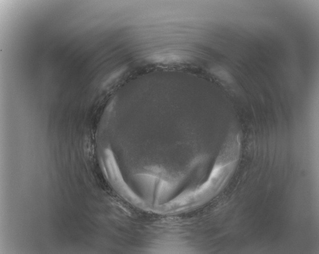 X0000066970966200604072026