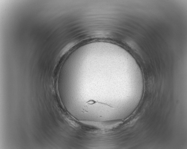 X0000066970970200604072026