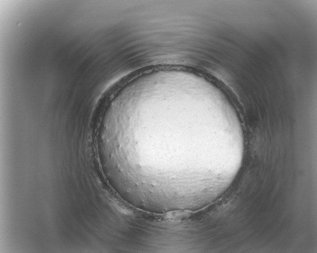 X0000066970971200604072026