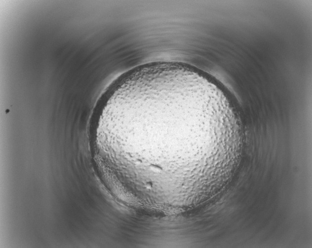 X0000066970972200604072026