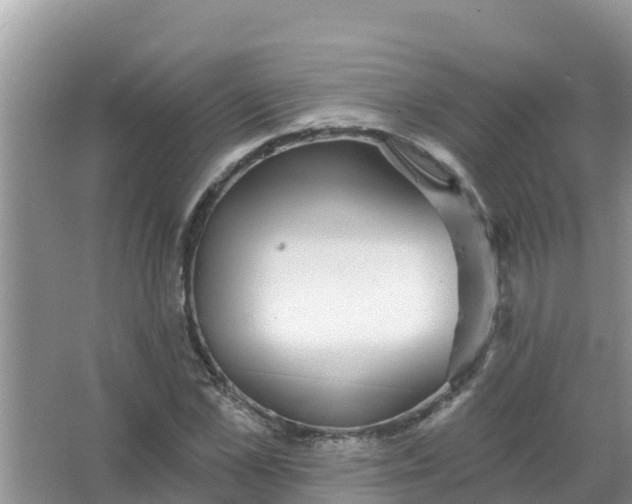 X0000066970973200604072026