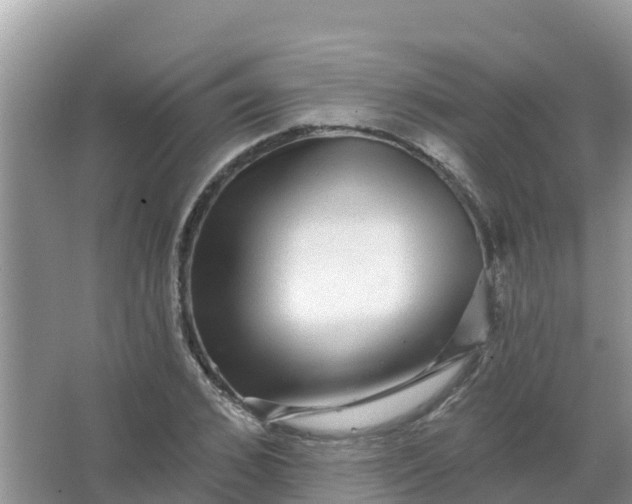 X0000066970976200604072026