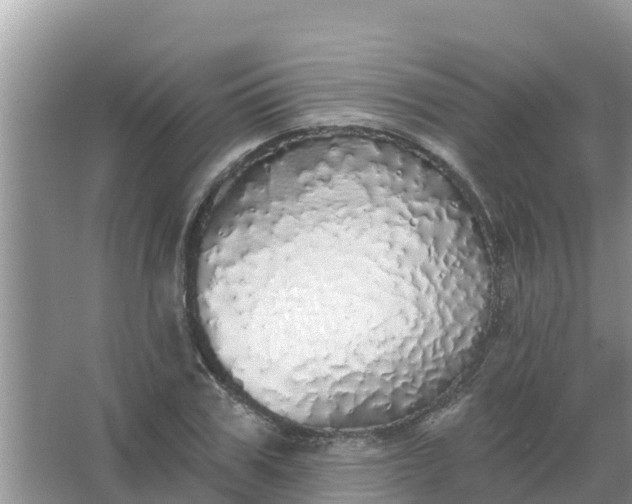 X0000066970979200604072026