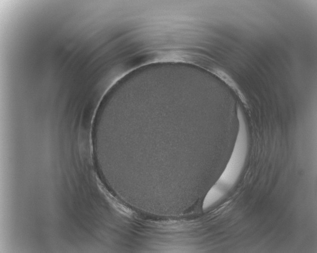 X0000066970980200604072026