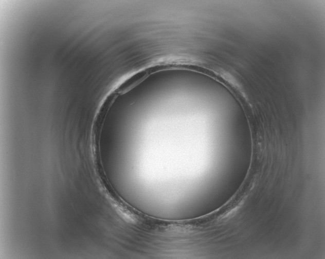 X0000066970981200604072026