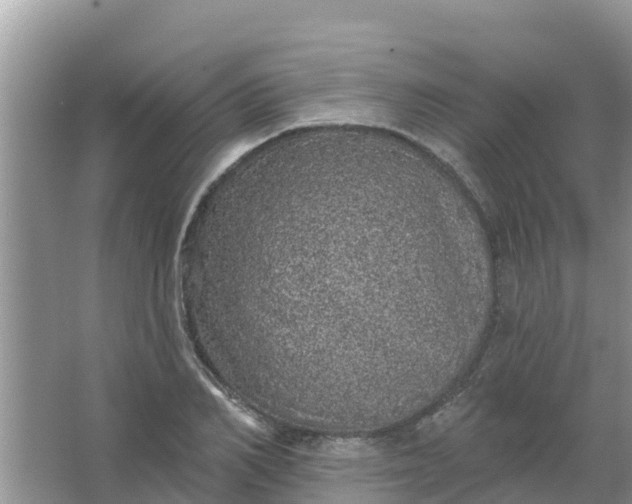 X0000066970982200604072026