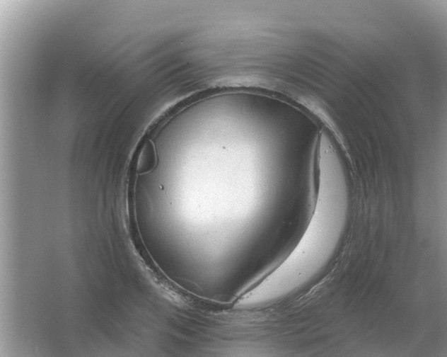 X0000066970984200604072026