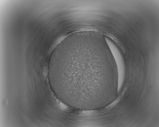 X0000066970985200604072026