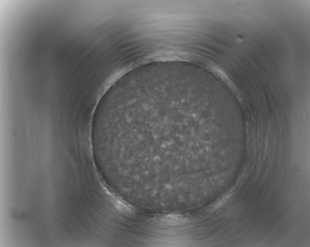 X0000066970986200604072026