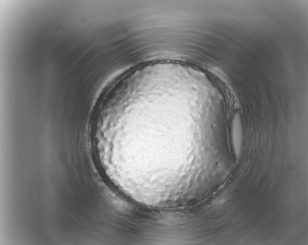 X0000066970987200604072026