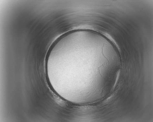 X0000066970988200604072026